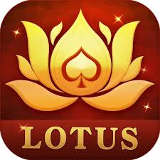 teen patti casino king download